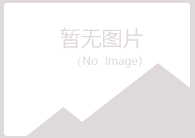 伊川县女孩能源有限公司